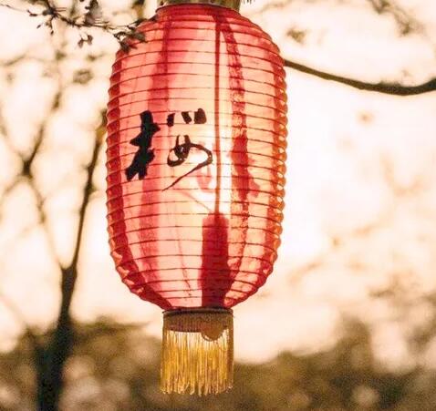 汇总日语语法：日语中ほど的7种用法